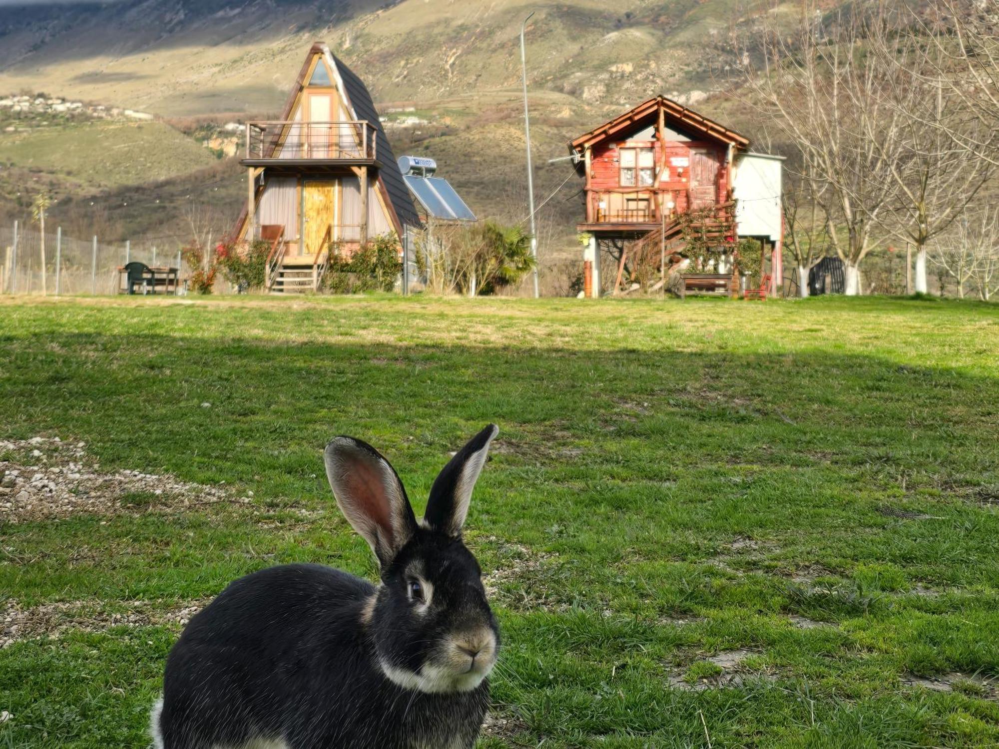 Life On The Farm Hotell Nepravishte Eksteriør bilde